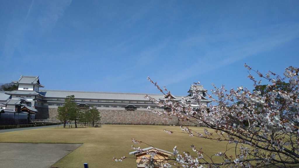 金沢城と桜